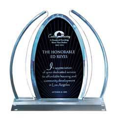 Enterprise Large Blue Dynasty Award