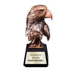 Bronze Antique Resin Eagle Head - Large