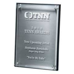 Hi-Tech Lucite Riser Plaque with Wood Backing and Plate, Silver