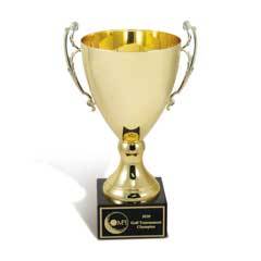 Metal Trophy Cup - Medium, Gold